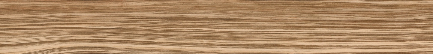 Casalgrande Padana Geowood Zebrawood Grip 22.5x180  Rekt.