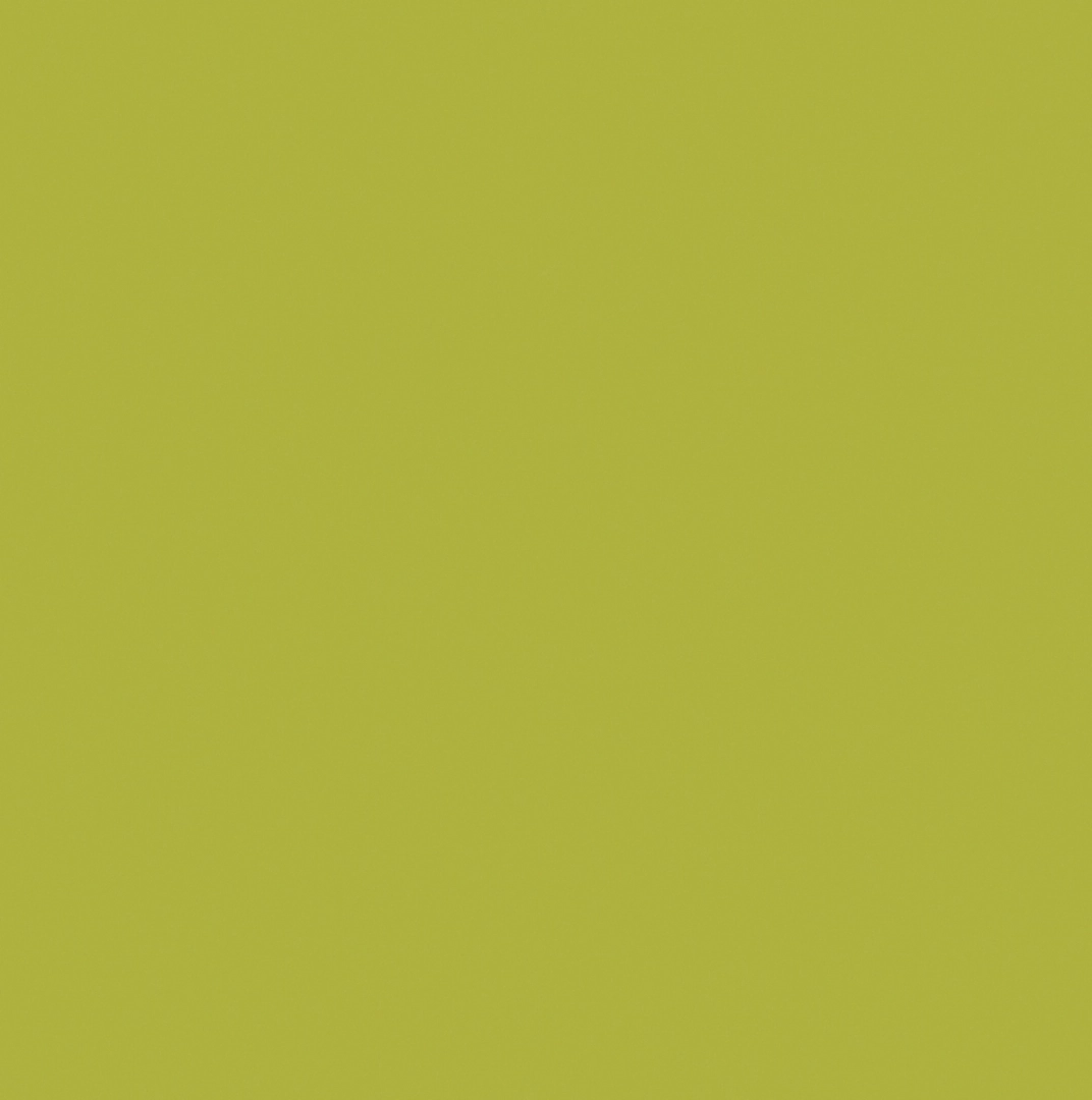 Casalgrande Padana Caleidoscopio Pistacchio Naturale 20x20  
