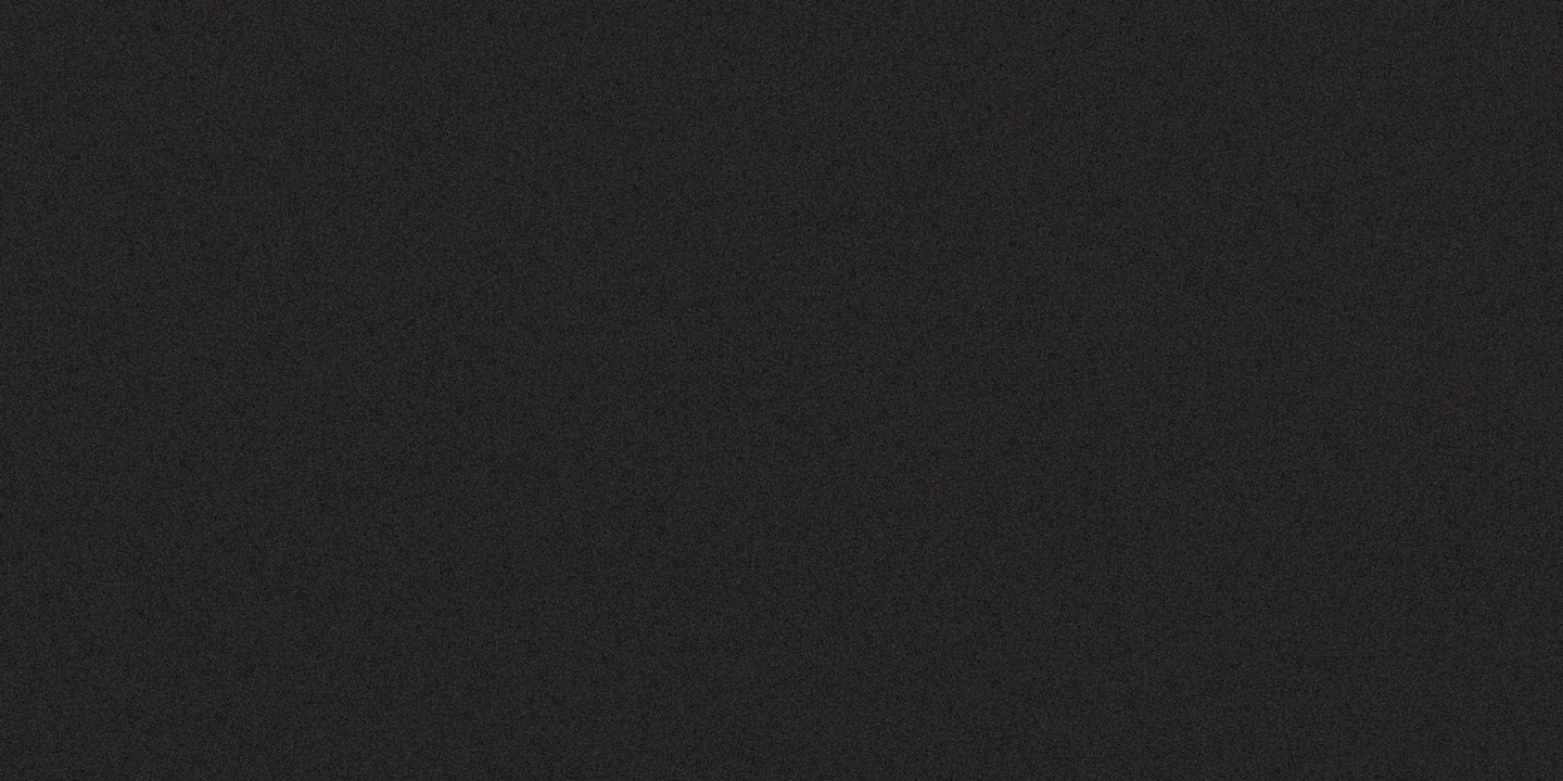 Casalgrande Padana Architecture Black Naturale 30x60 Rekt.