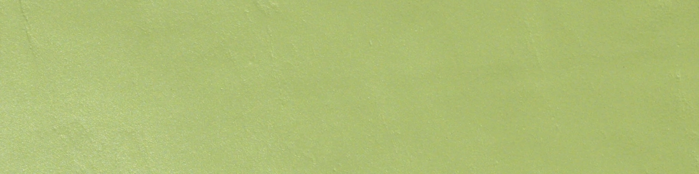 Casalgrande Padana Architecture Acid Green Gloss 15x60 Rekt.