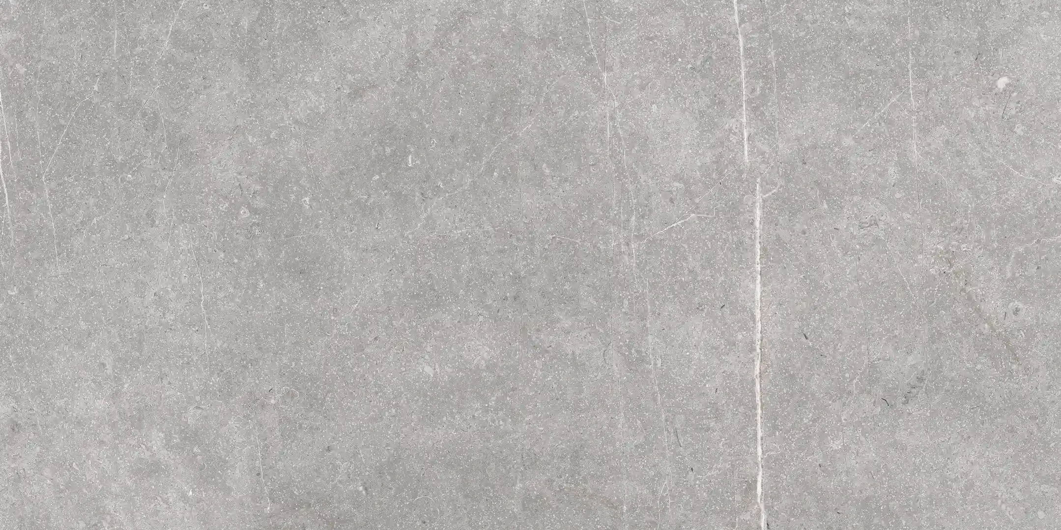 Cerdomus Mexicana Grey Levigato 30x60 Rekt.