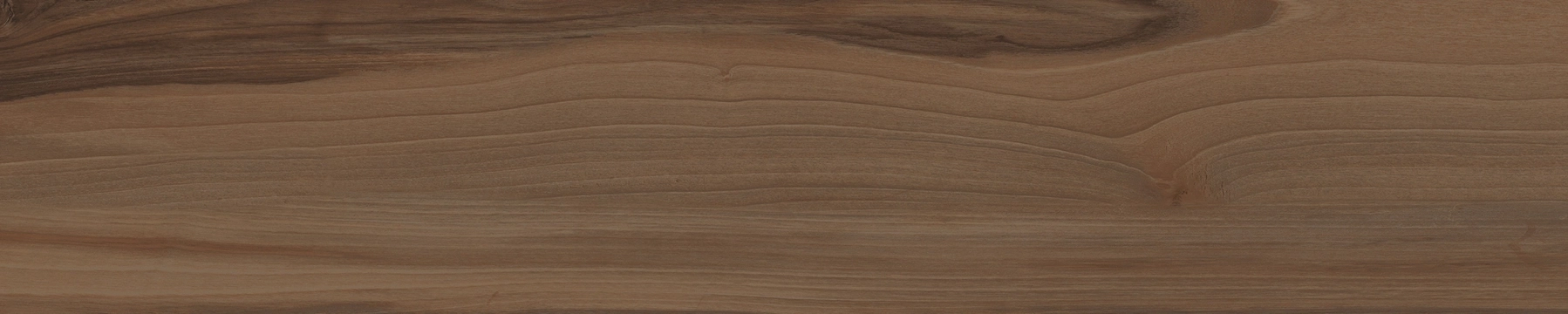 Cerdomus Savanna Coffee Matt 20x100 Rekt.