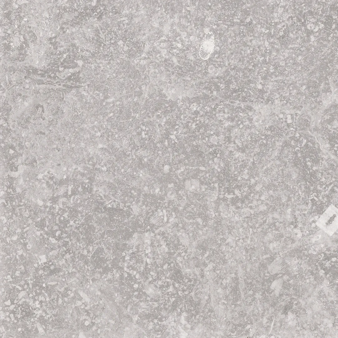 Cerdomus Nordenn Grigio Mattsbrecciato 20x20