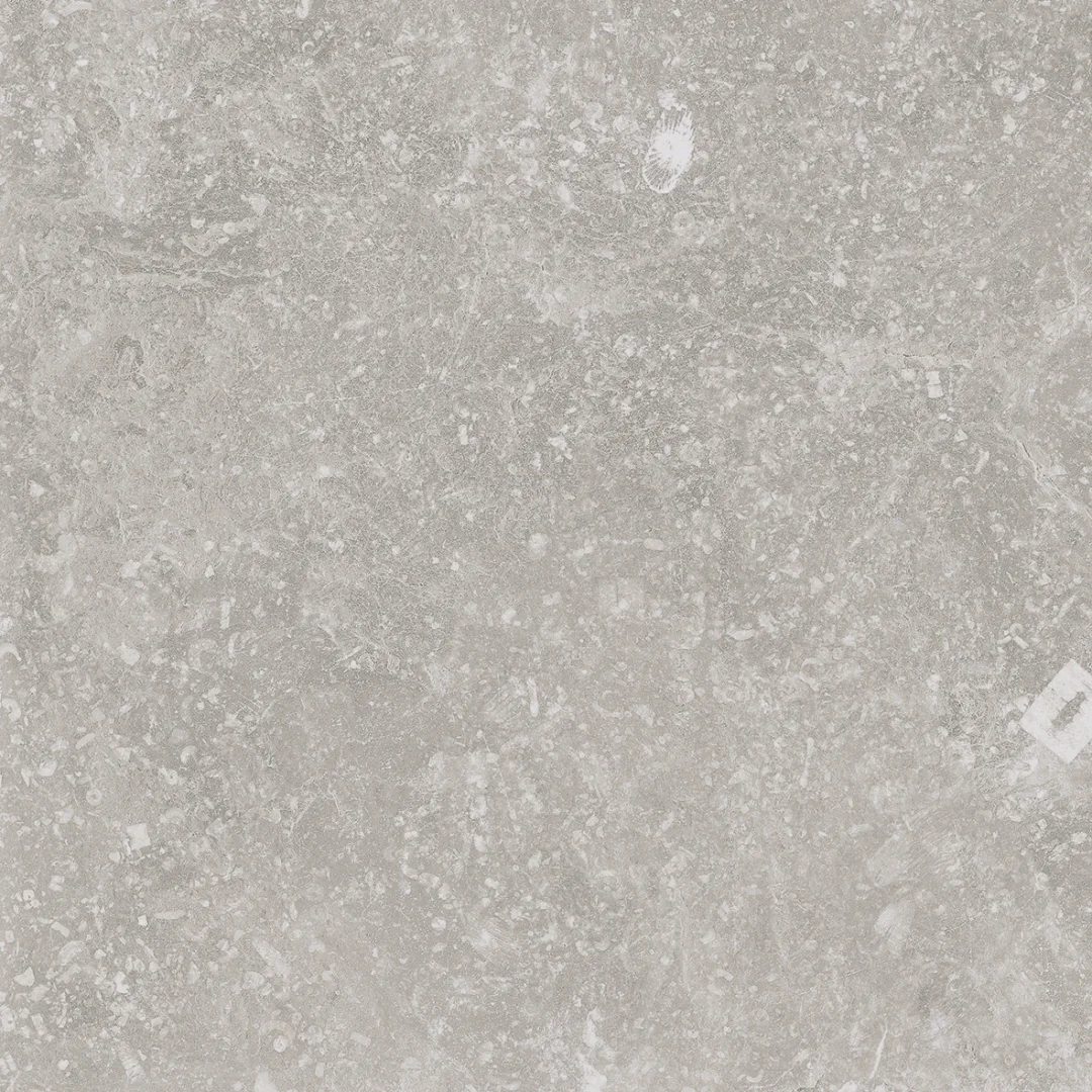Cerdomus Nordenn Beige Mattsbrecciato 20x20