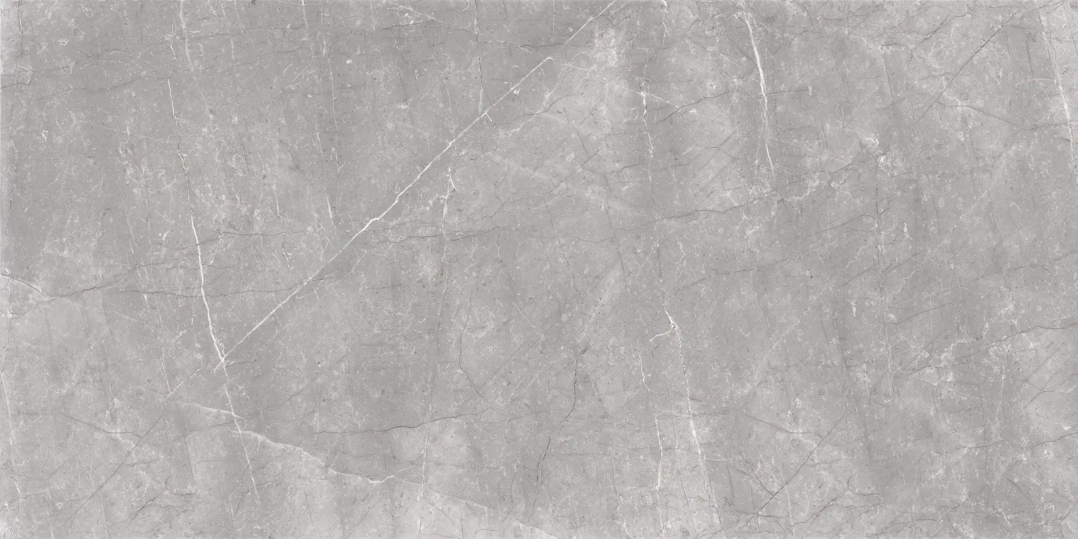 Cerdomus Mexicana Grey Levigato 60x120 Rekt.