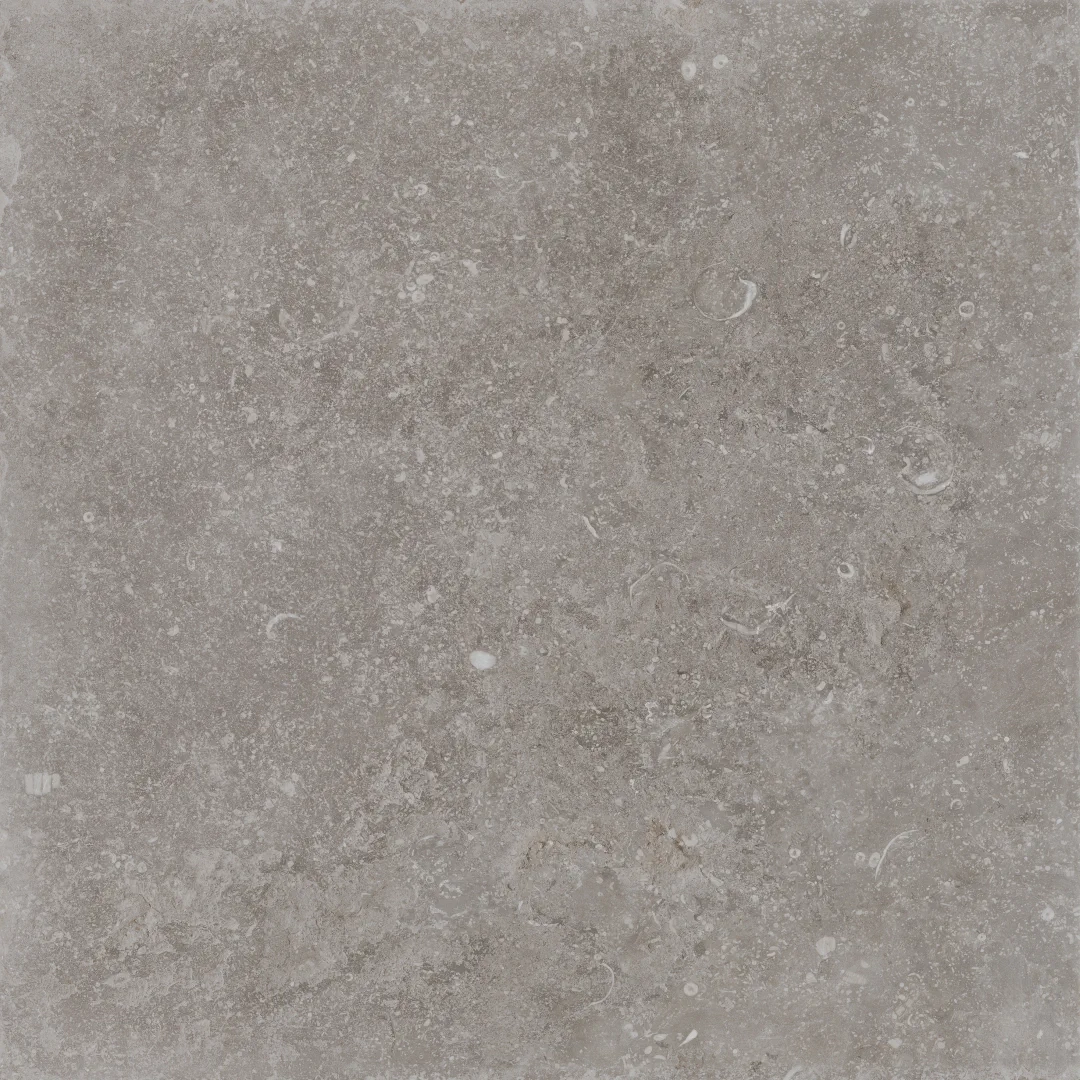 Cerdomus Nordenn Greige Mattsbrecciato 60x60