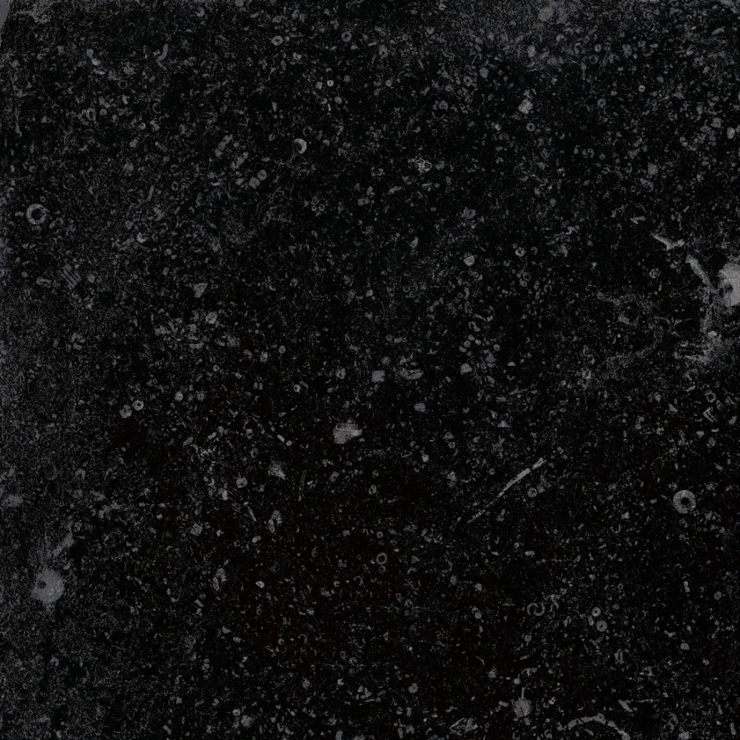 Cerdomus Nordenn Nero Mattsbrecciato 20x20 