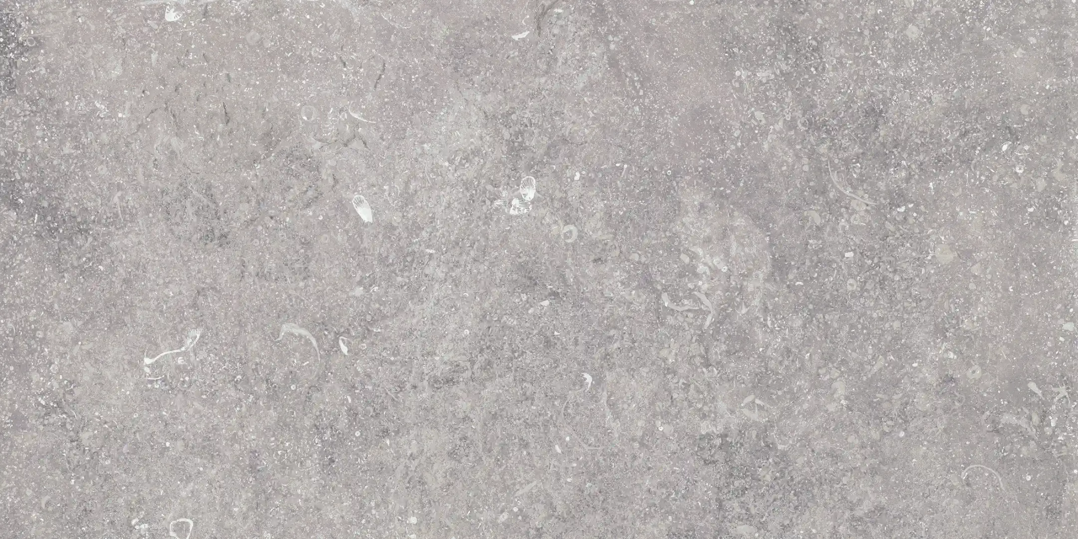 Cerdomus Nordenn Grigio Mattsbrecciato 20x40