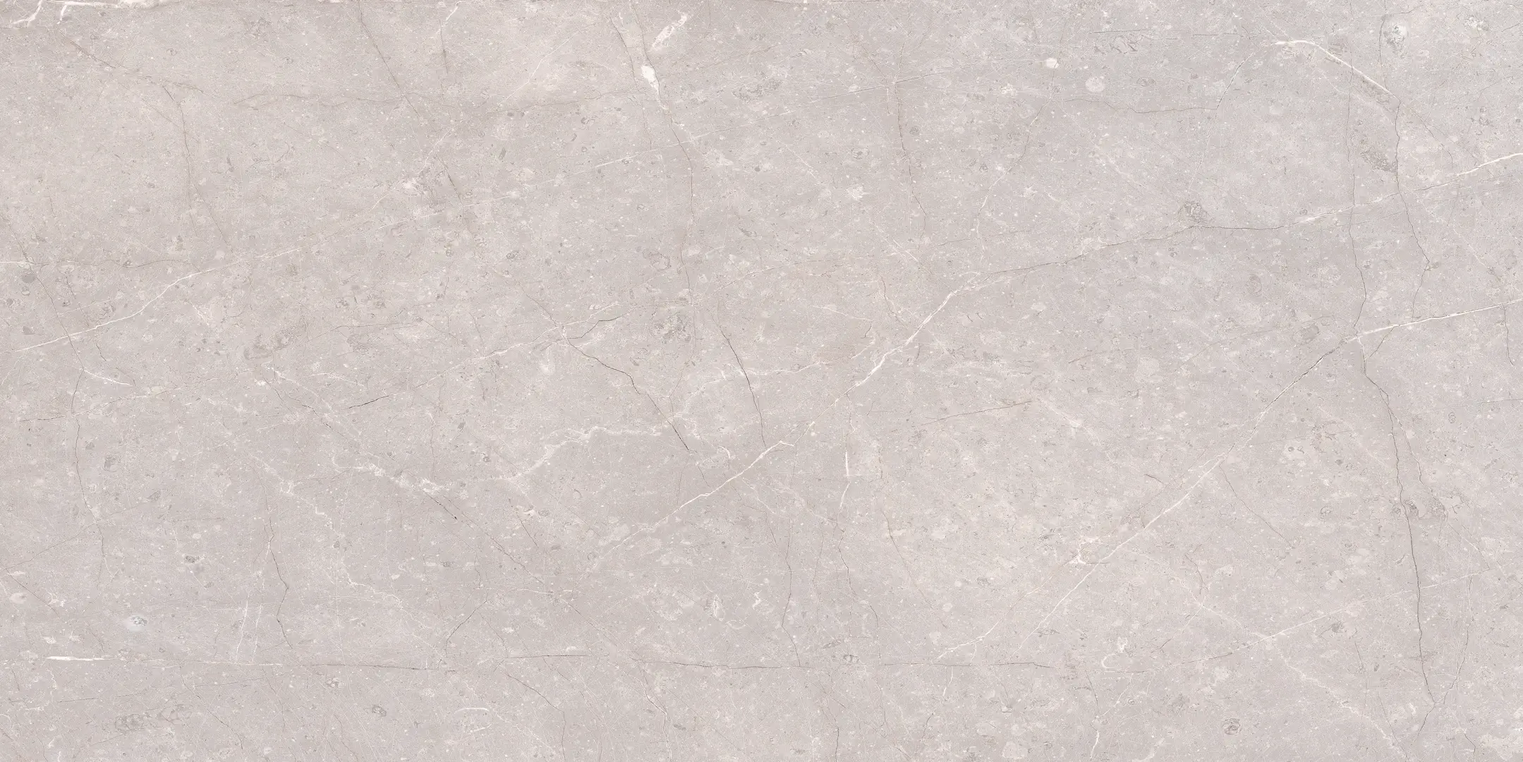 Cerdomus Mexicana Silver Matt 30x60 Rekt.