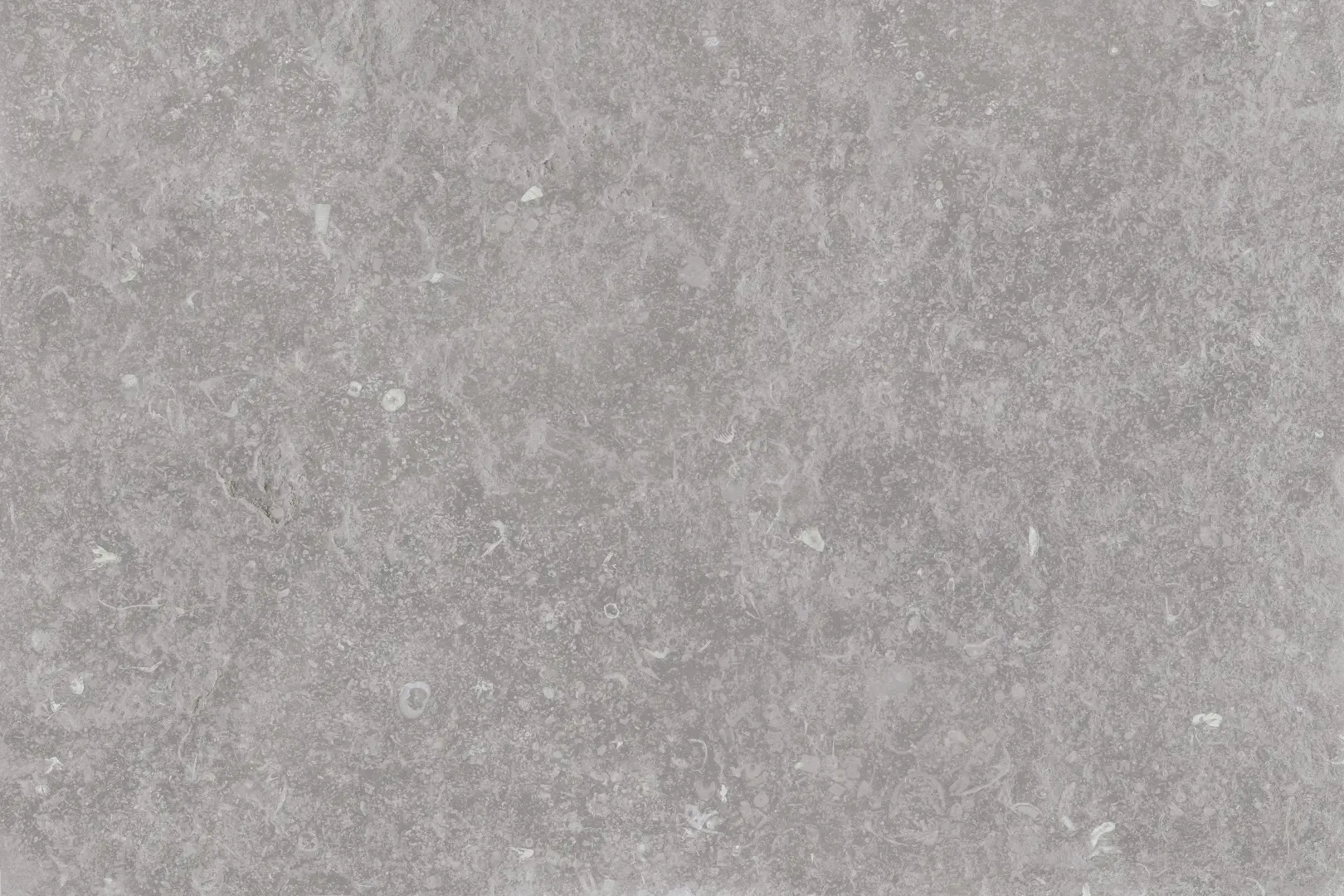 Cerdomus Nordenn Grigio Gripsbrecciato 40x60 Rekt.