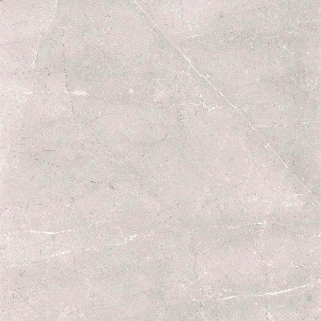 Cerdomus Mexicana Silver Levigato 60x60 Rekt.