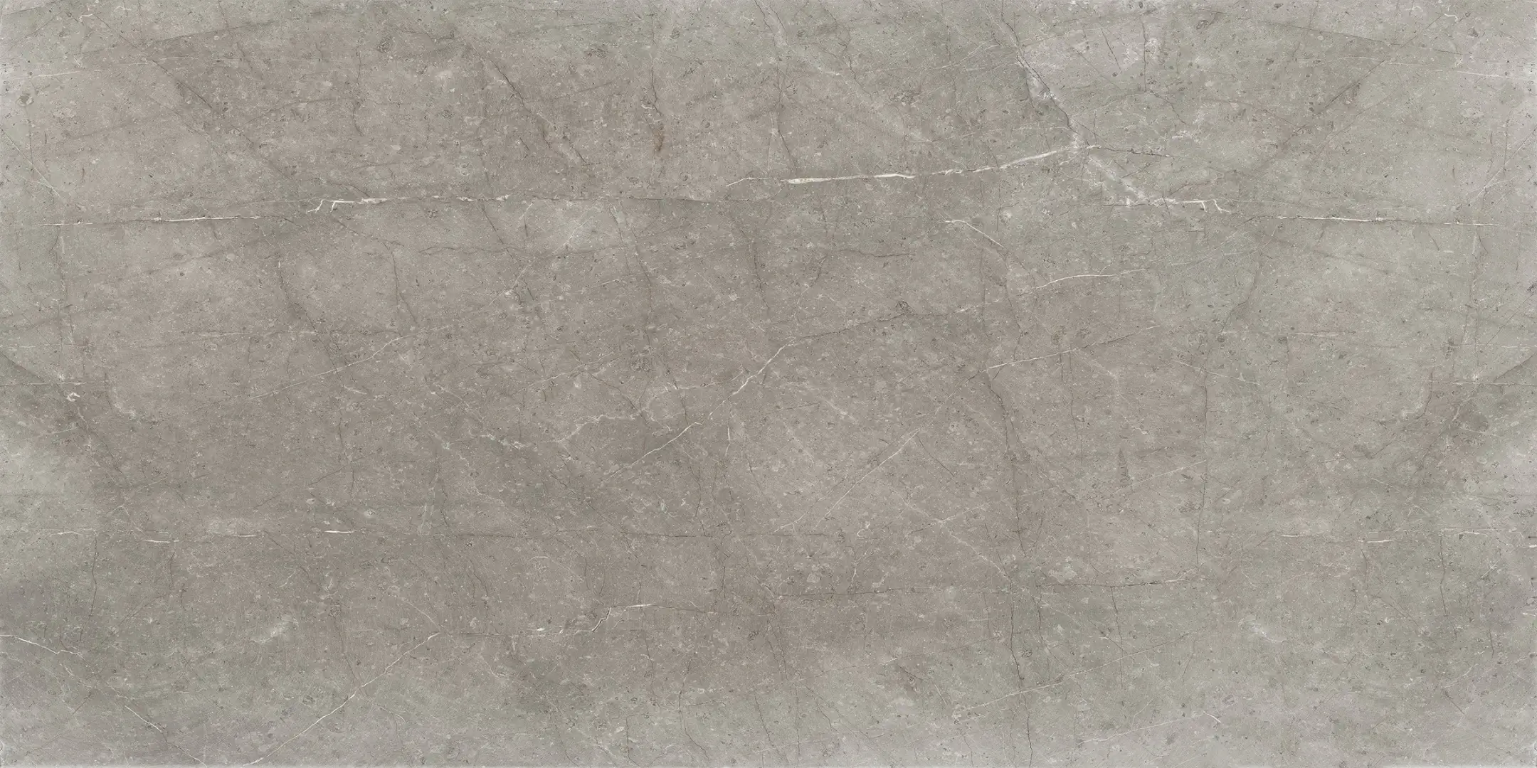 Cerdomus Mexicana Grey Matt 60x120 Rekt.