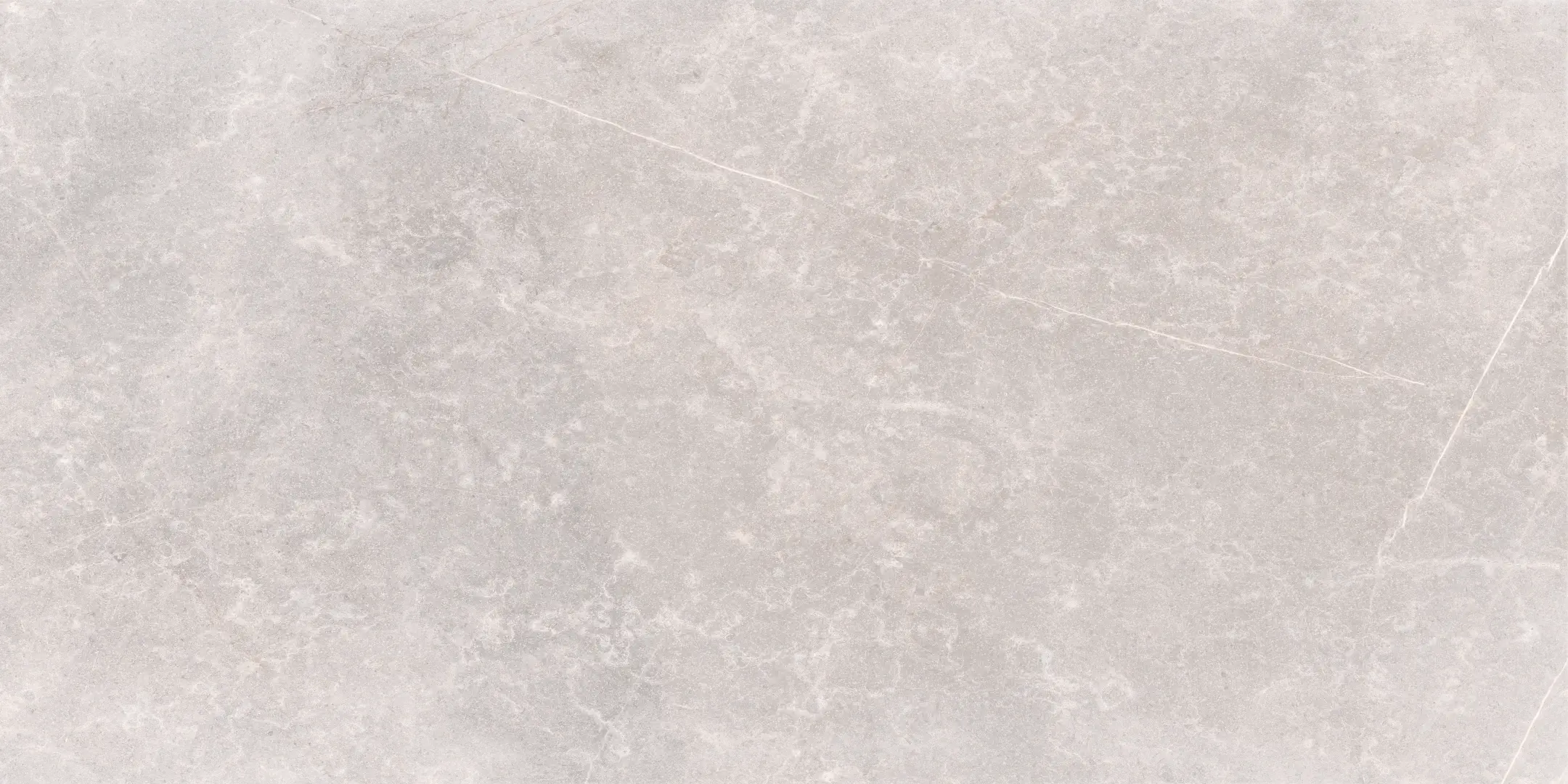 Cerdomus Mexicana Silver Matt 60x120 Rekt.