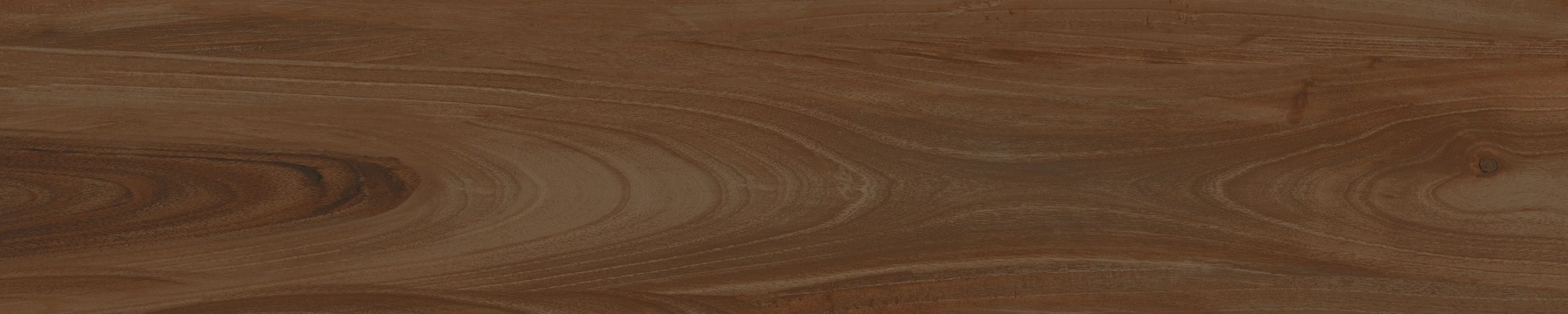 Cerdomus Savanna Brandy Matt 20x100 Rekt.