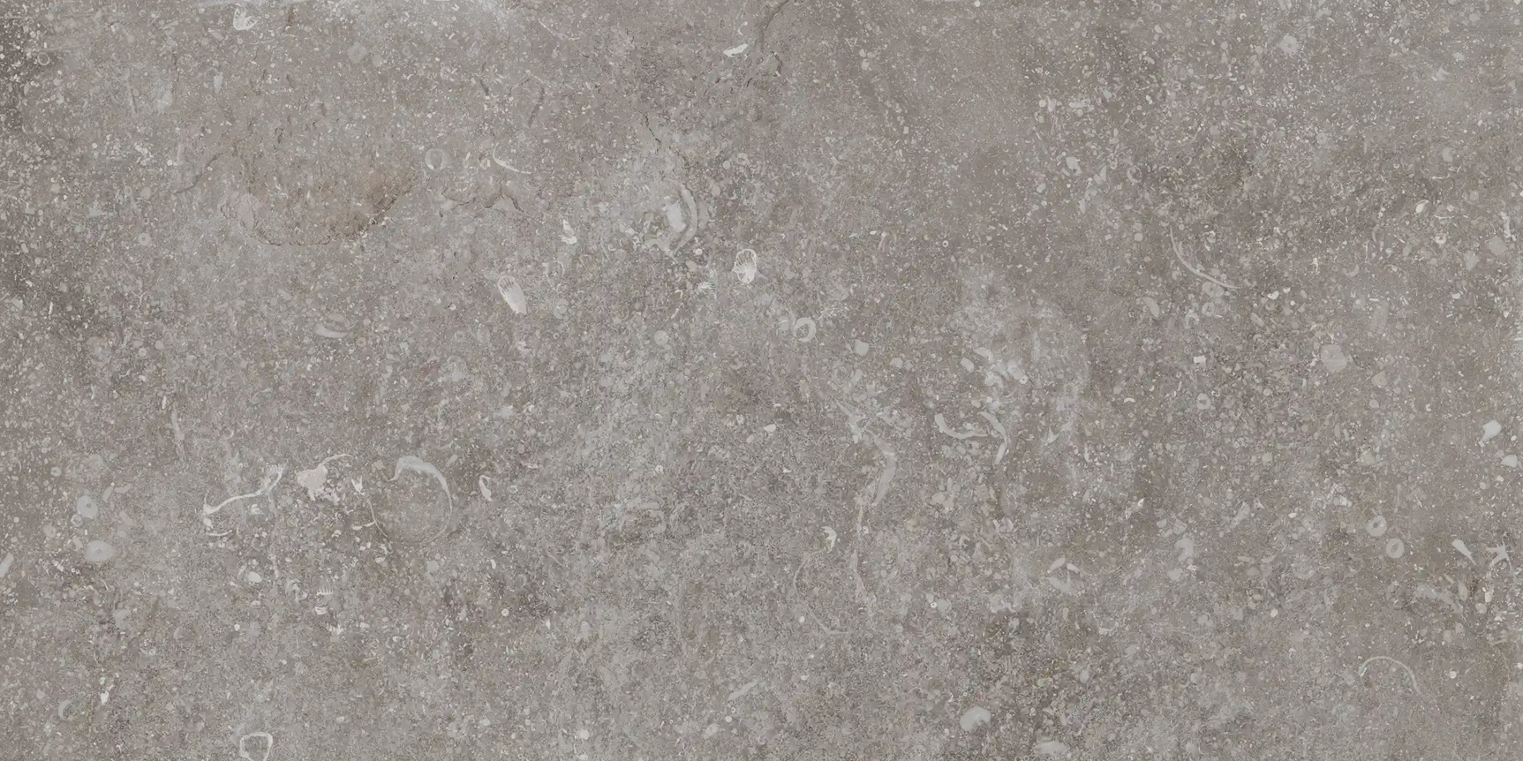 Cerdomus Nordenn Greige Mattsbrecciato 20x40