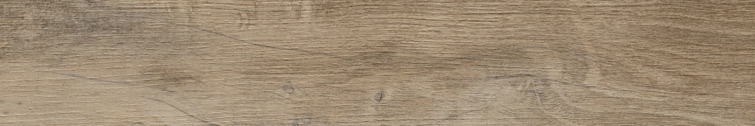 Cifre Nebraska Elm Naturale 9.8x59.3 cm 