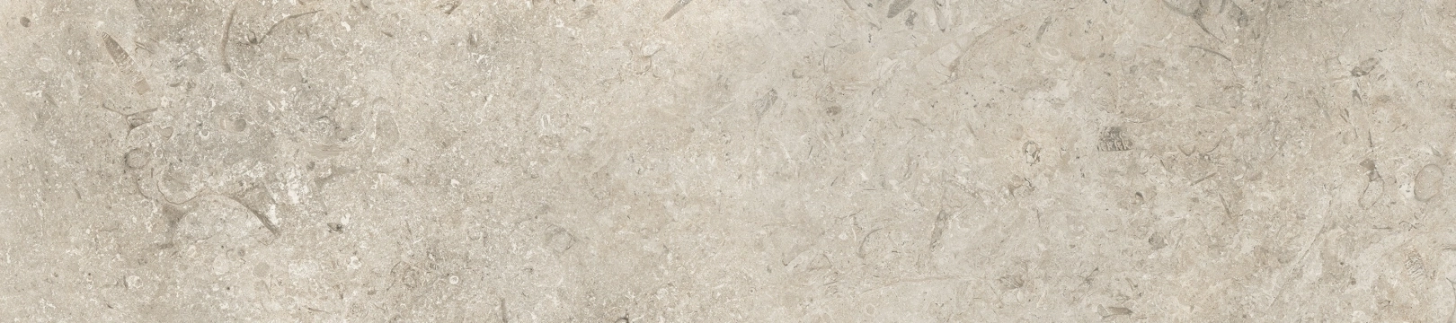 Coem Goldenstone Grey Naturale 20.13x90.6 Rekt.