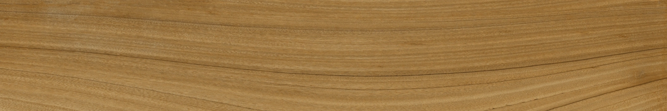Coem Afromosia Tabacco Naturale 15.1x90.6 Rekt.