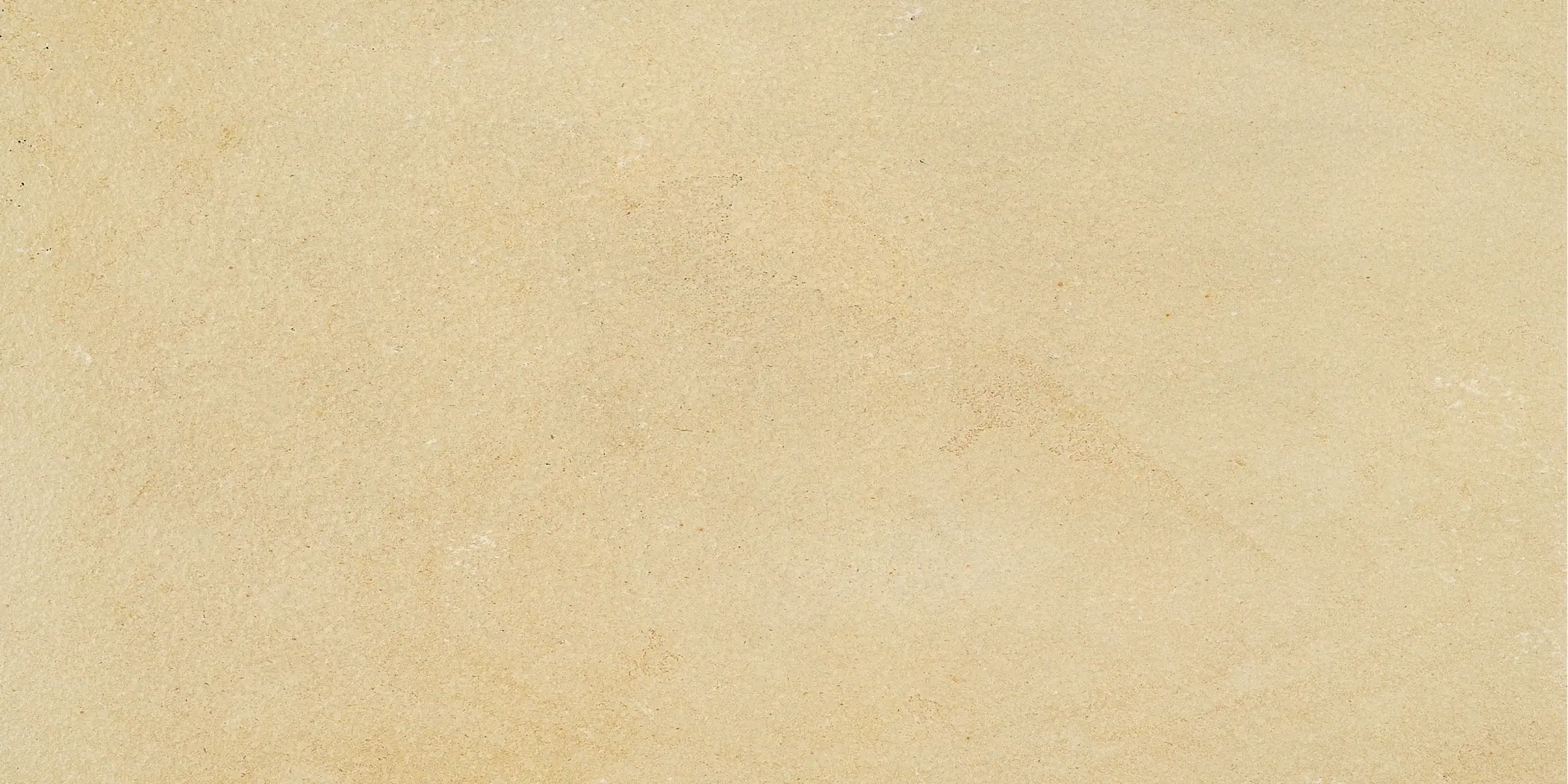 Coem Fossilia Dorato Naturale 30.5x61.4 