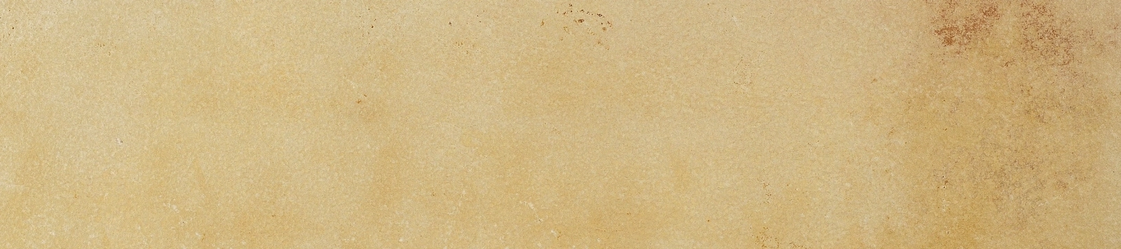 Coem Fossilia Dorato Naturale 20.13x90.6 Rekt.