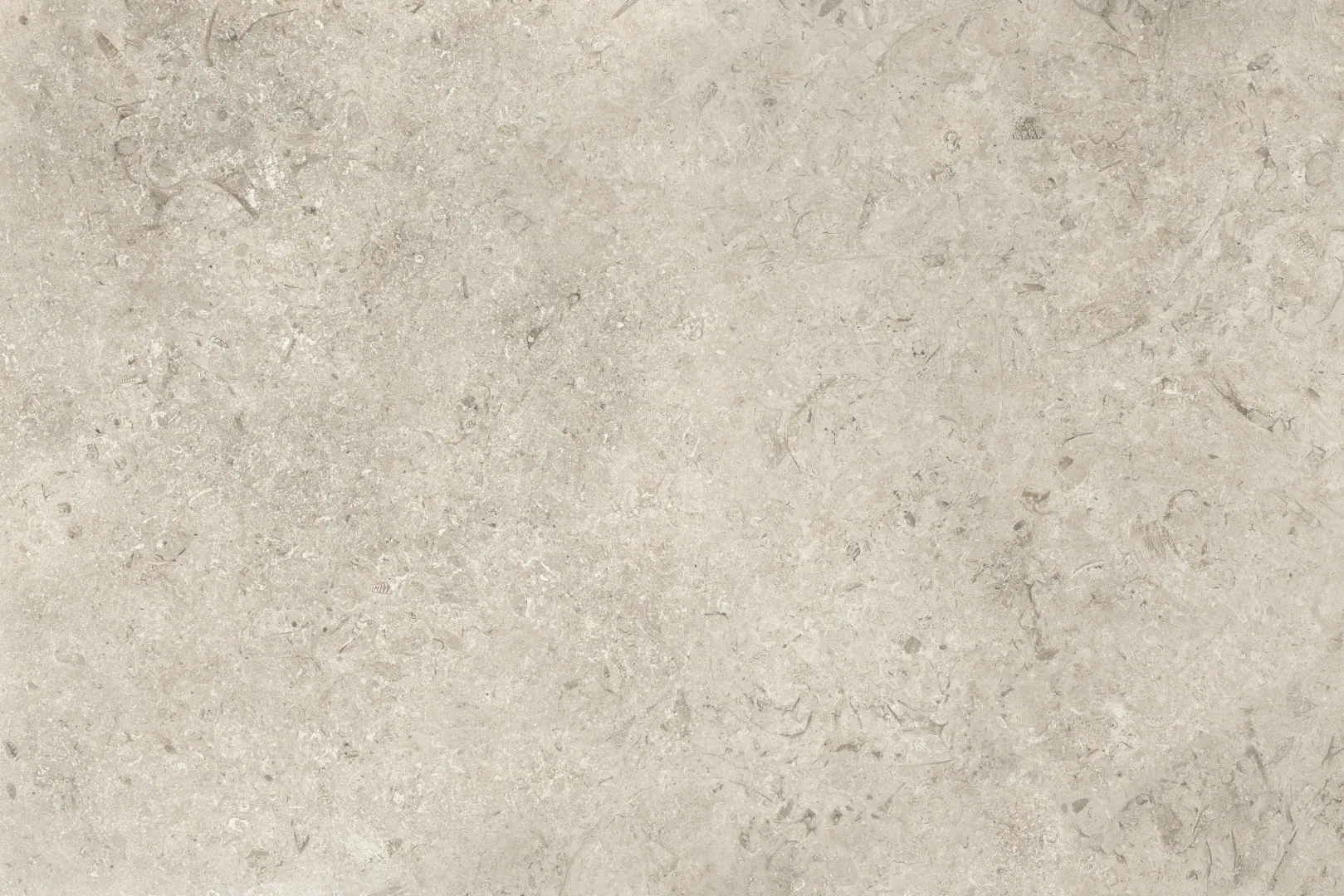 Coem Goldenstone Grey Lucidato 60.4x90.6 Rekt.