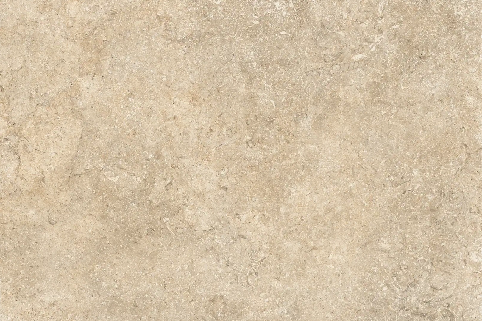 Coem Goldenstone Beige Lucidato 60.4x90.6 Rekt.