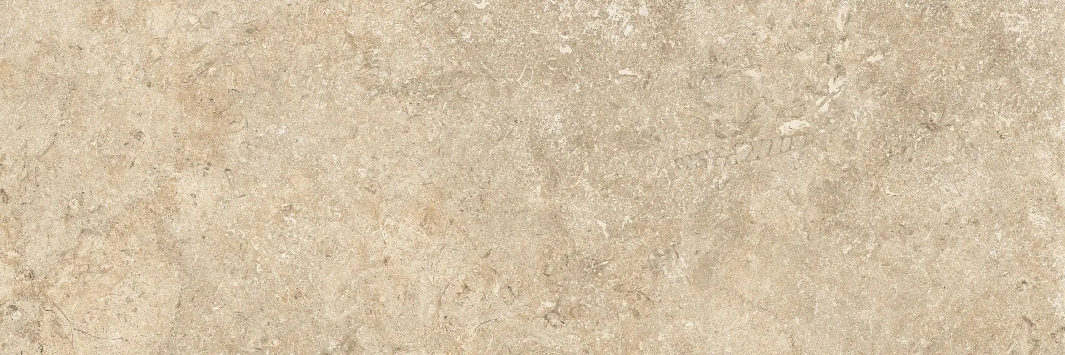 Coem Goldenstone Beige Naturale 30.2x90.6 Rekt.