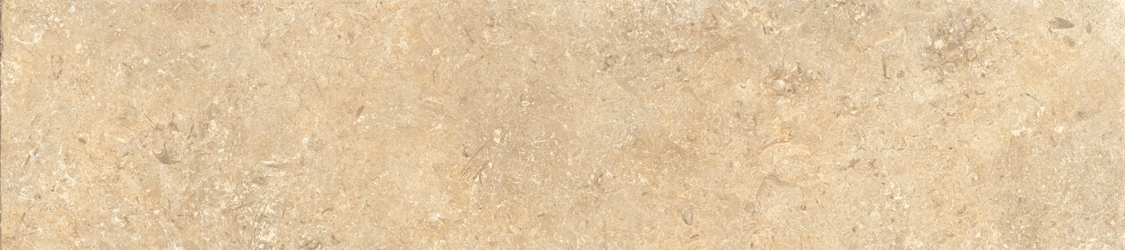 Coem Goldenstone Gold Naturale 20.13x90.6 Rekt.