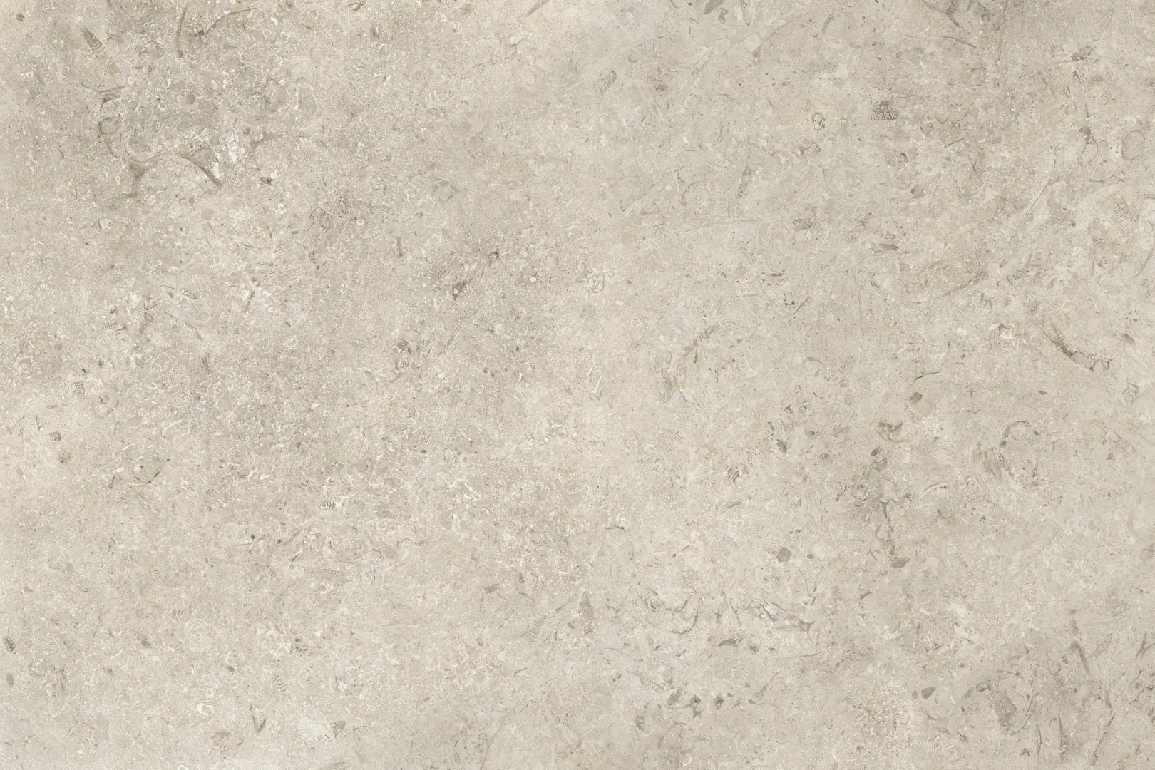 Coem Goldenstone Grey Naturale 60.4x90.6 Rekt.