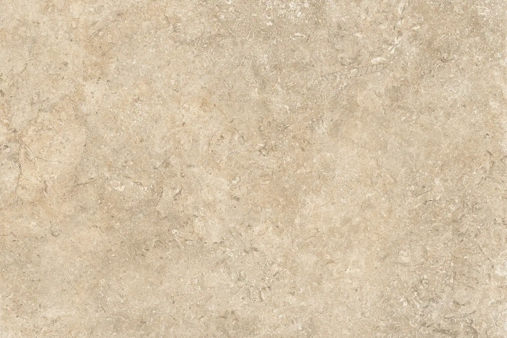 Coem Goldenstone Beige Naturale 60.4x90.6 Rekt.