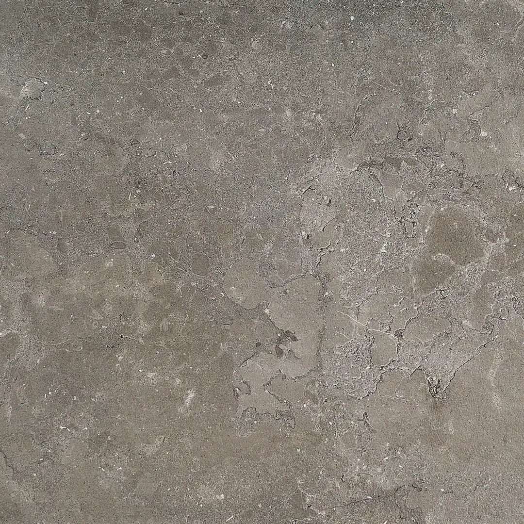 Coem Lagos Concrete Lucidato 60x60 Rekt.