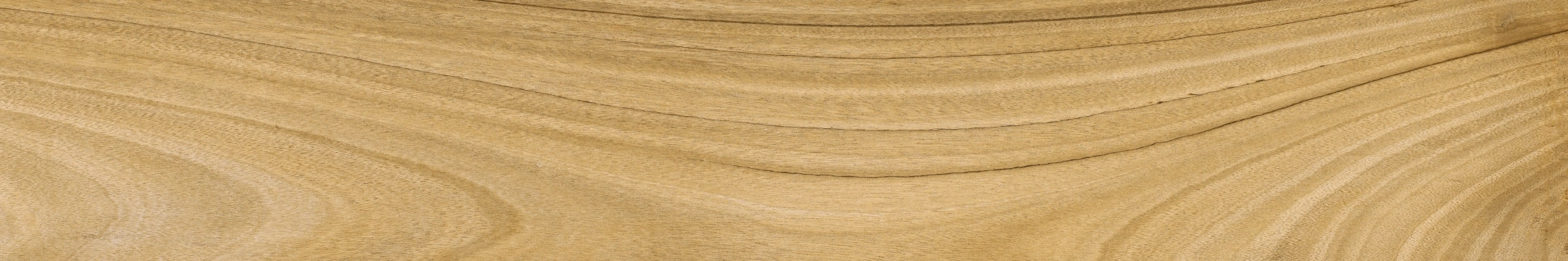 Coem Afromosia Miele Naturale 15.1x90.6 Rekt.
