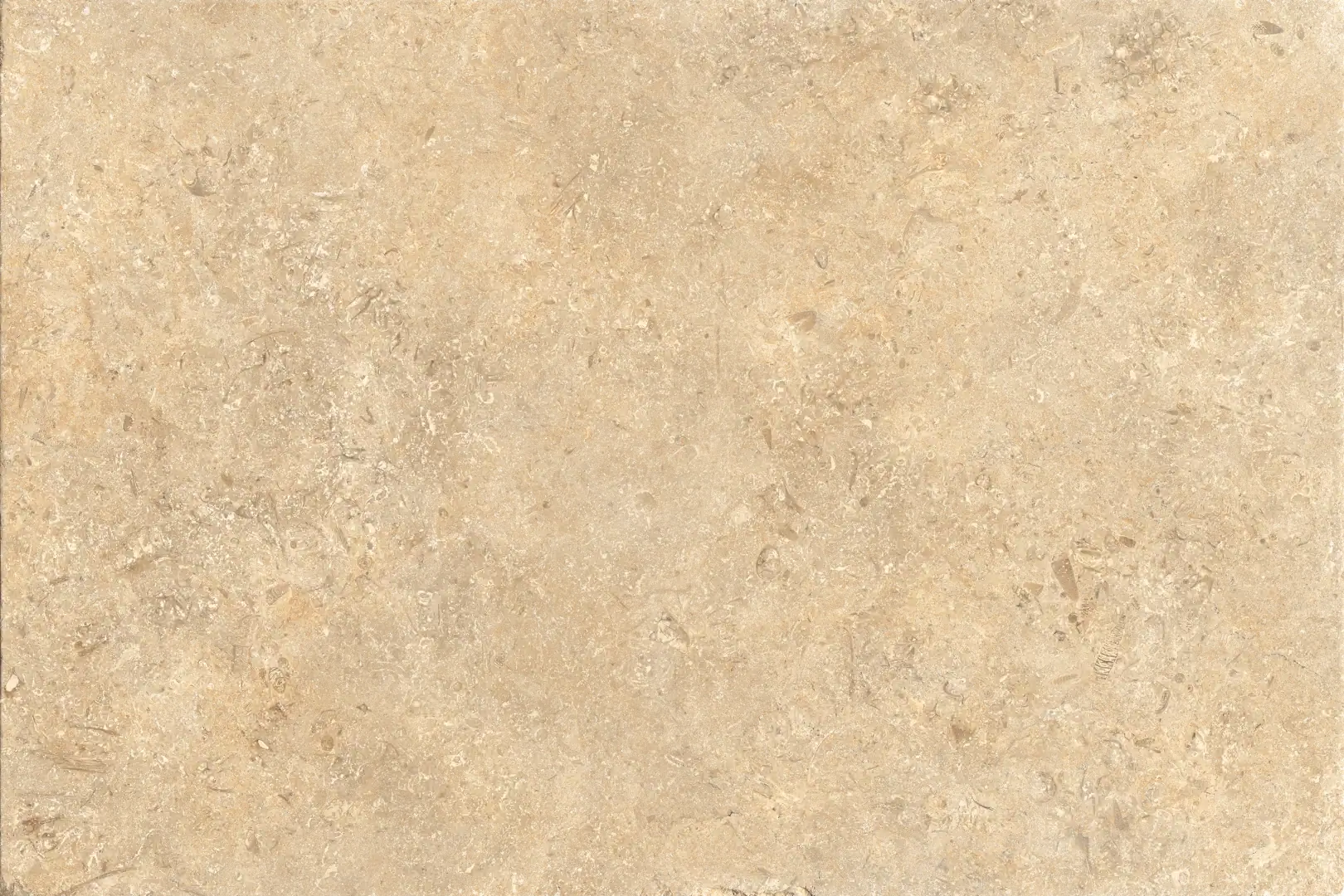 Coem Goldenstone Gold Naturale 60.4x90.6 Rekt.
