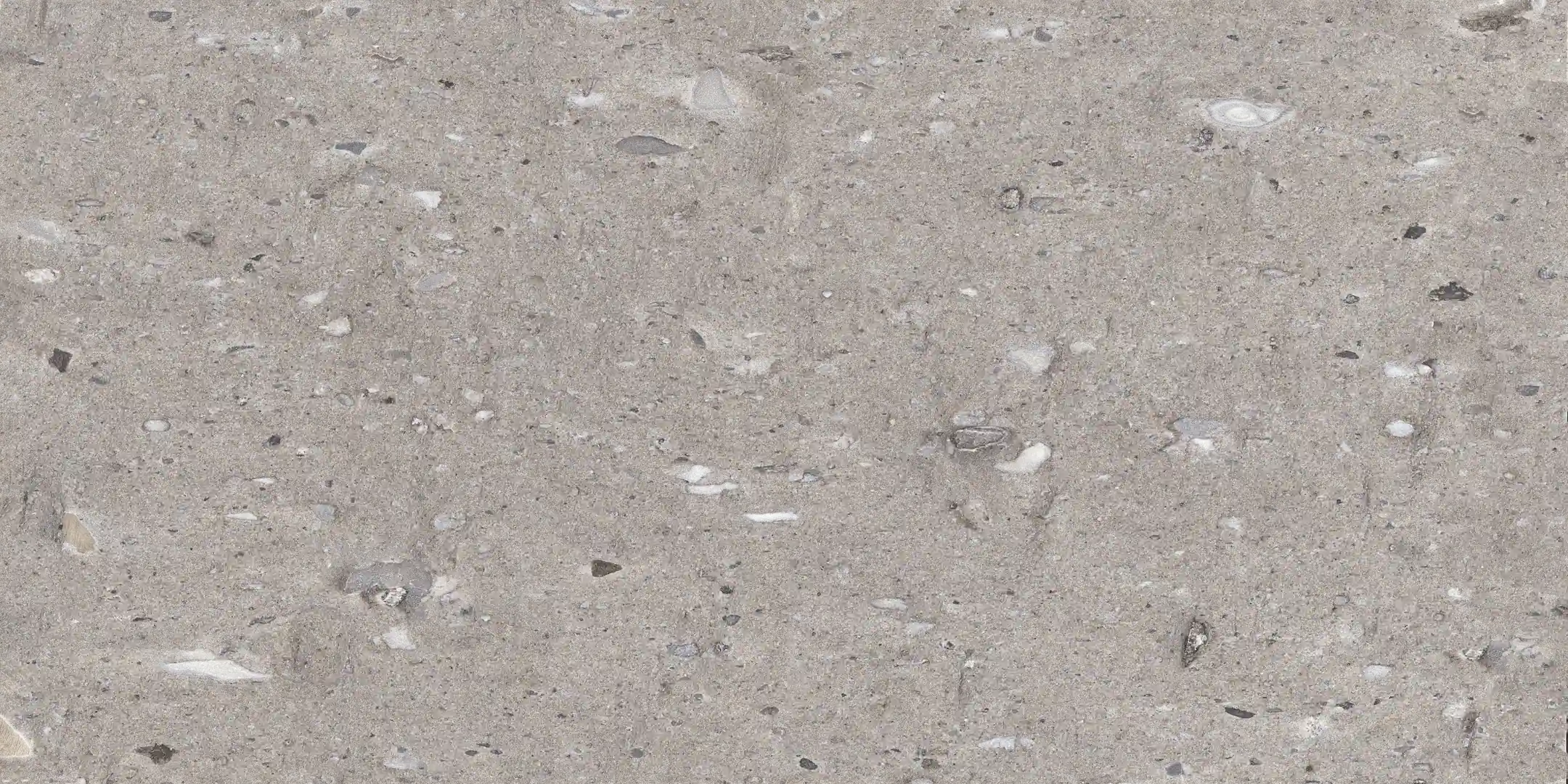 Coem Moon Stone Grey Lucidato 60x60 Rekt.