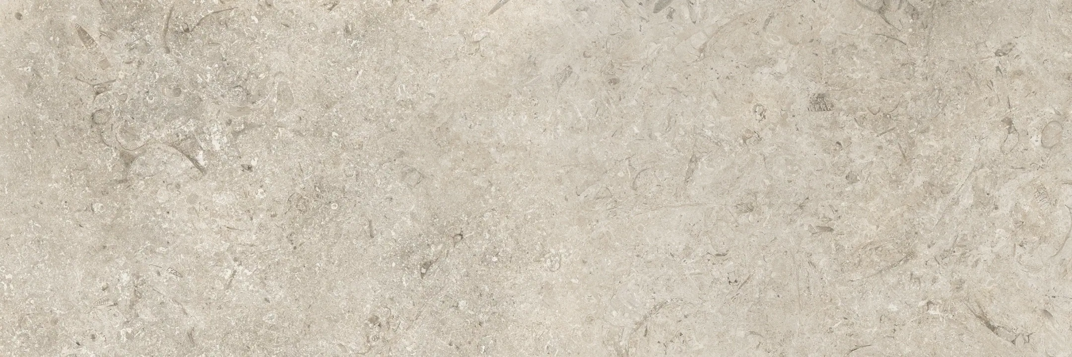 Coem Goldenstone Grey Lucidato 30.2x90.6 Rekt.