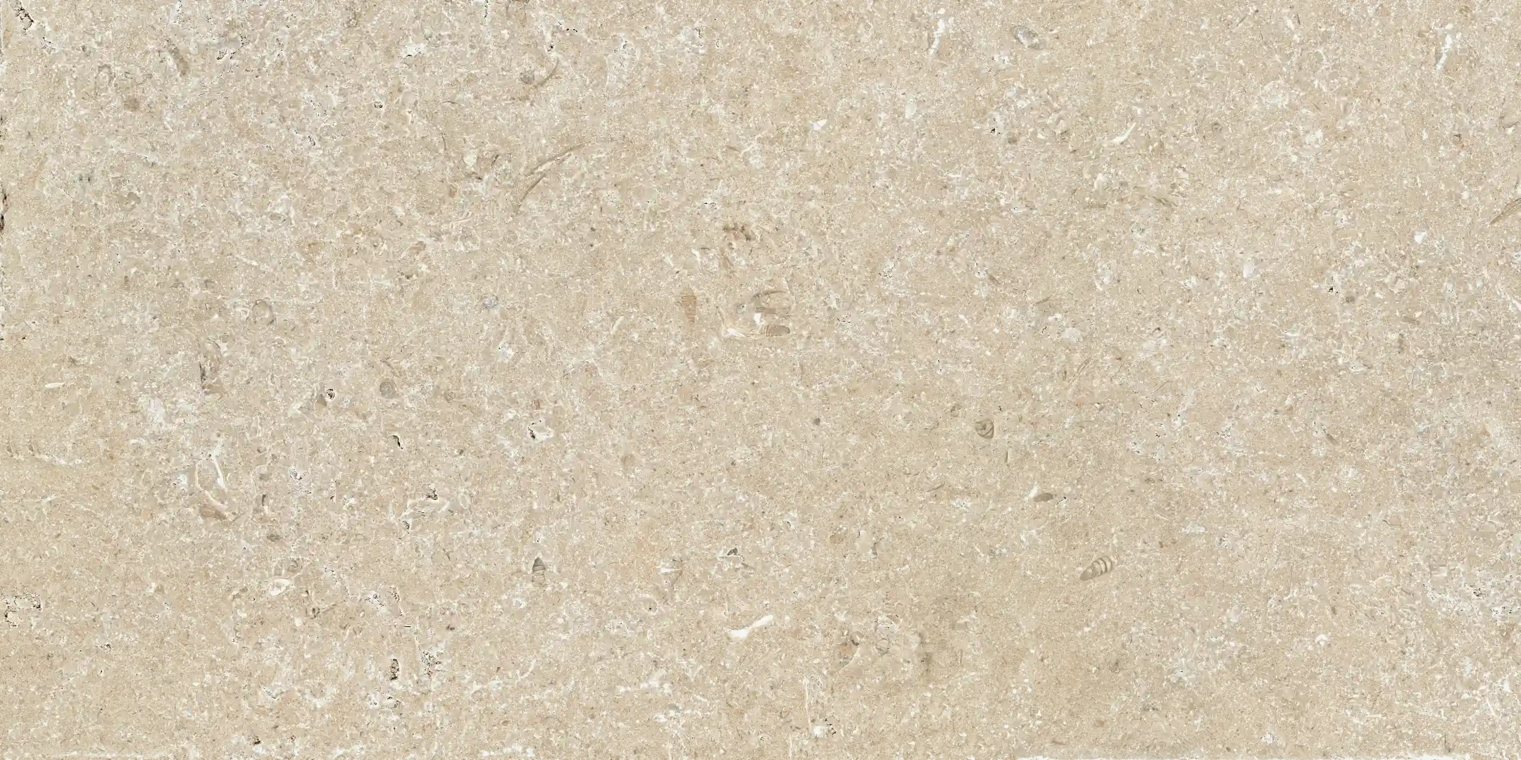 Cotto D'este Secret Stone Preciousbeige Honed 60x120 Rekt.