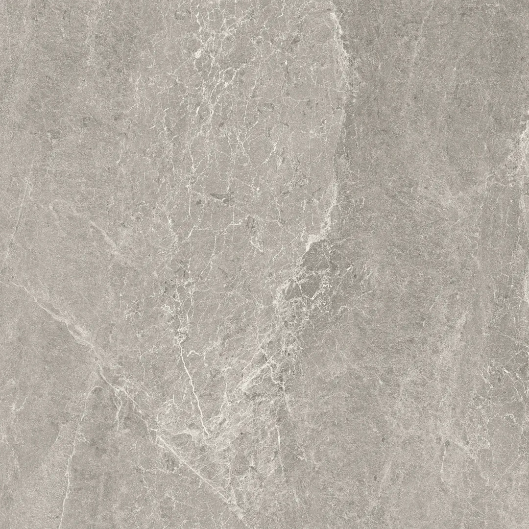 Cotto D'este Advantage Skin Silver Naturale 100x100 Rekt.