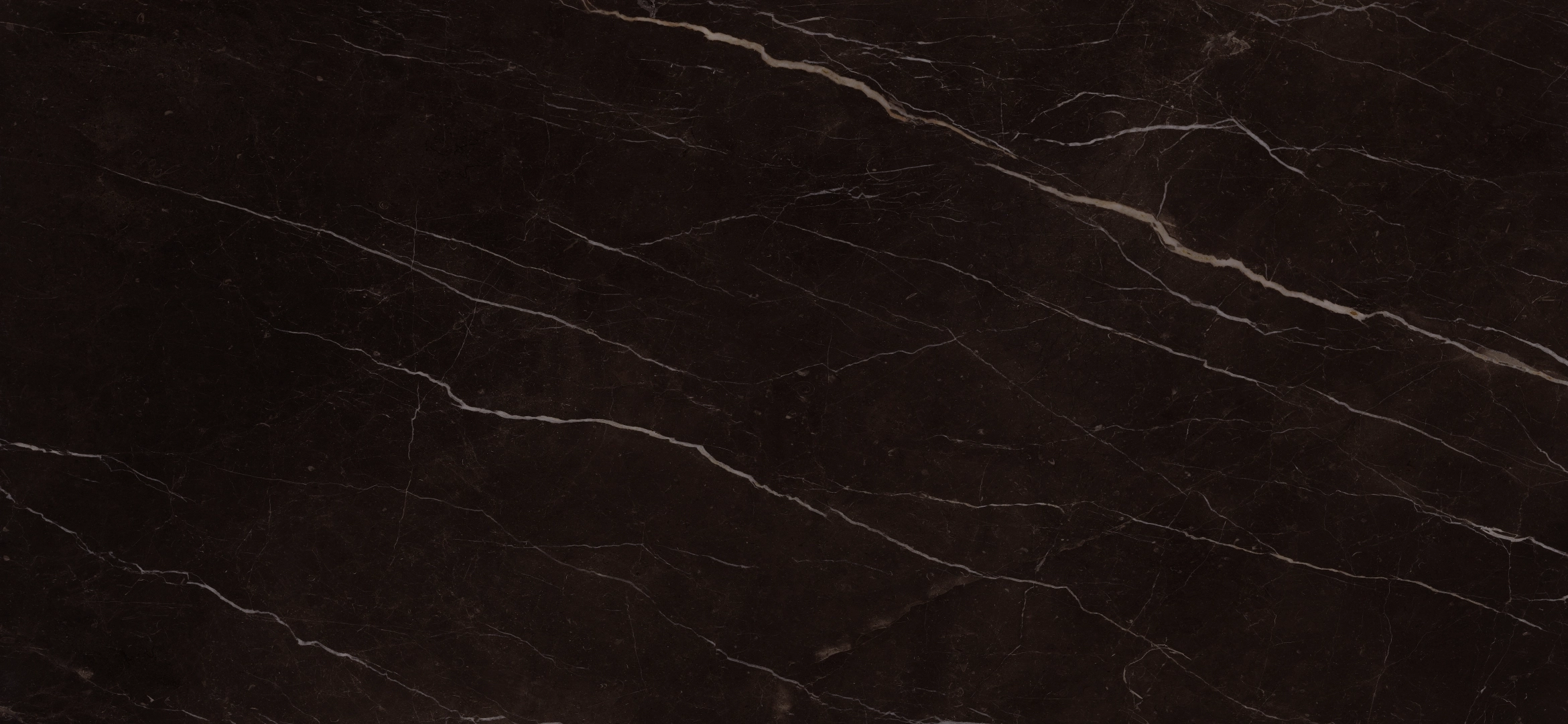 Cotto D'este Vanity Darkbrown Glossy 60x120 Rekt.