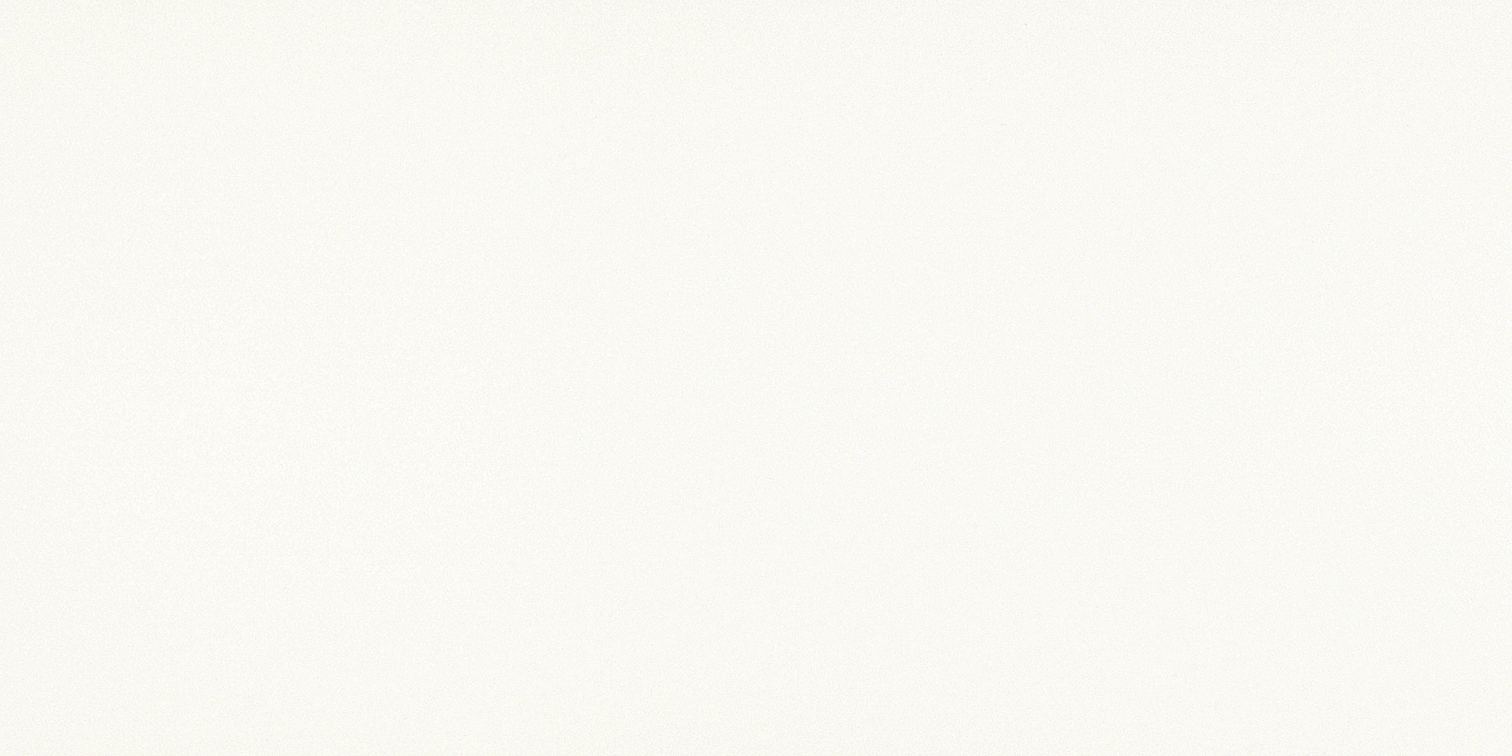Cotto D'este Black-White Snow Naturale 50x100 Rekt.