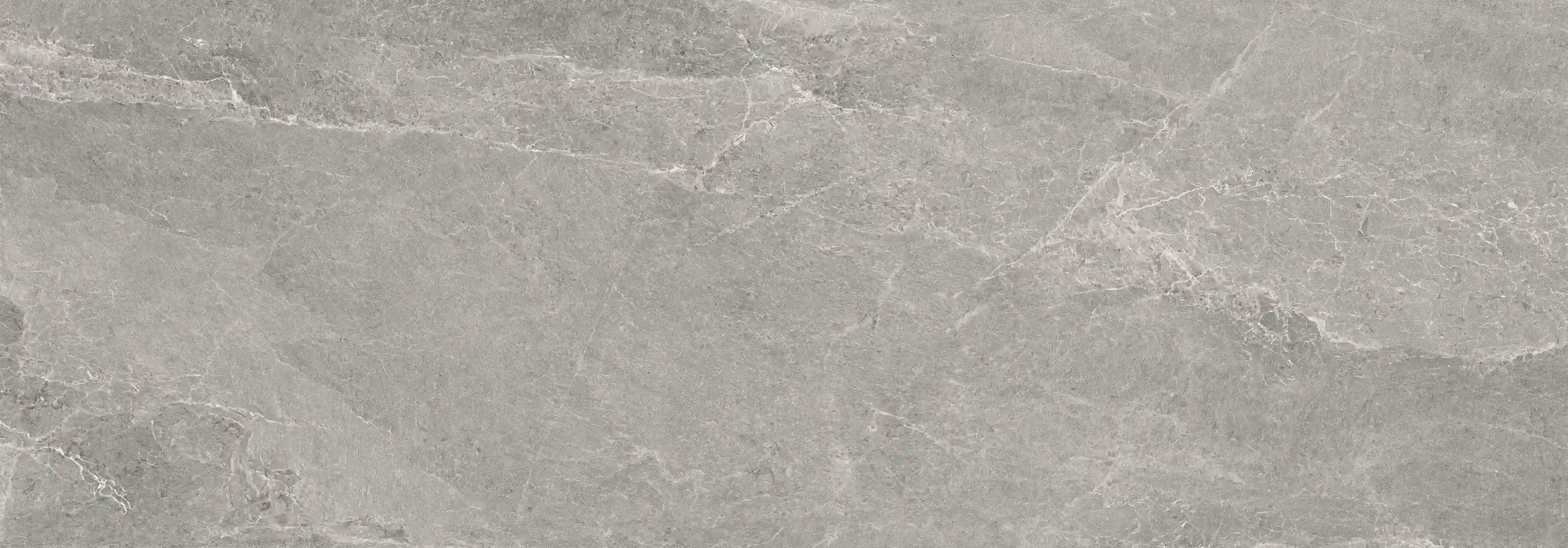 Cotto D'este Advantage Skin Silver Naturale 50x100 Rekt.