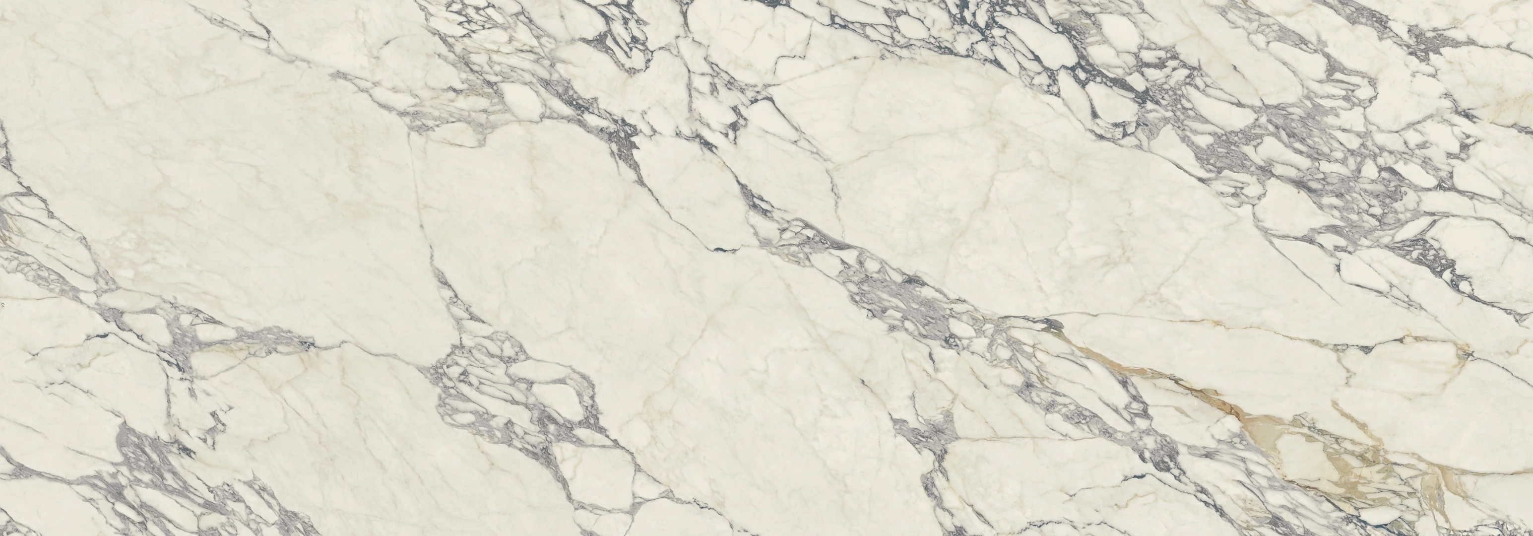 Cotto D'este Starlight Corchiaarabesque Glossy 50x100 Rekt.