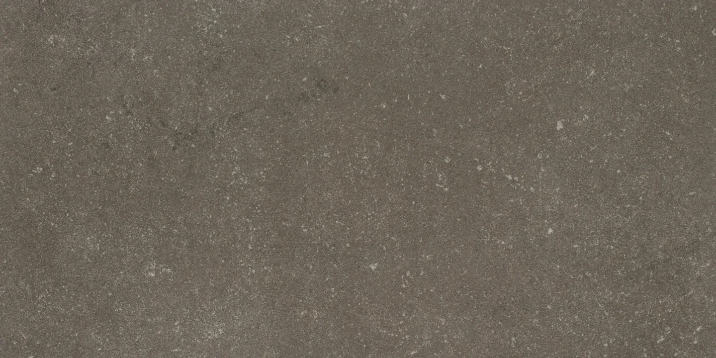 Cotto D'este Buxy Cendre Naturale 50x100 Rekt.