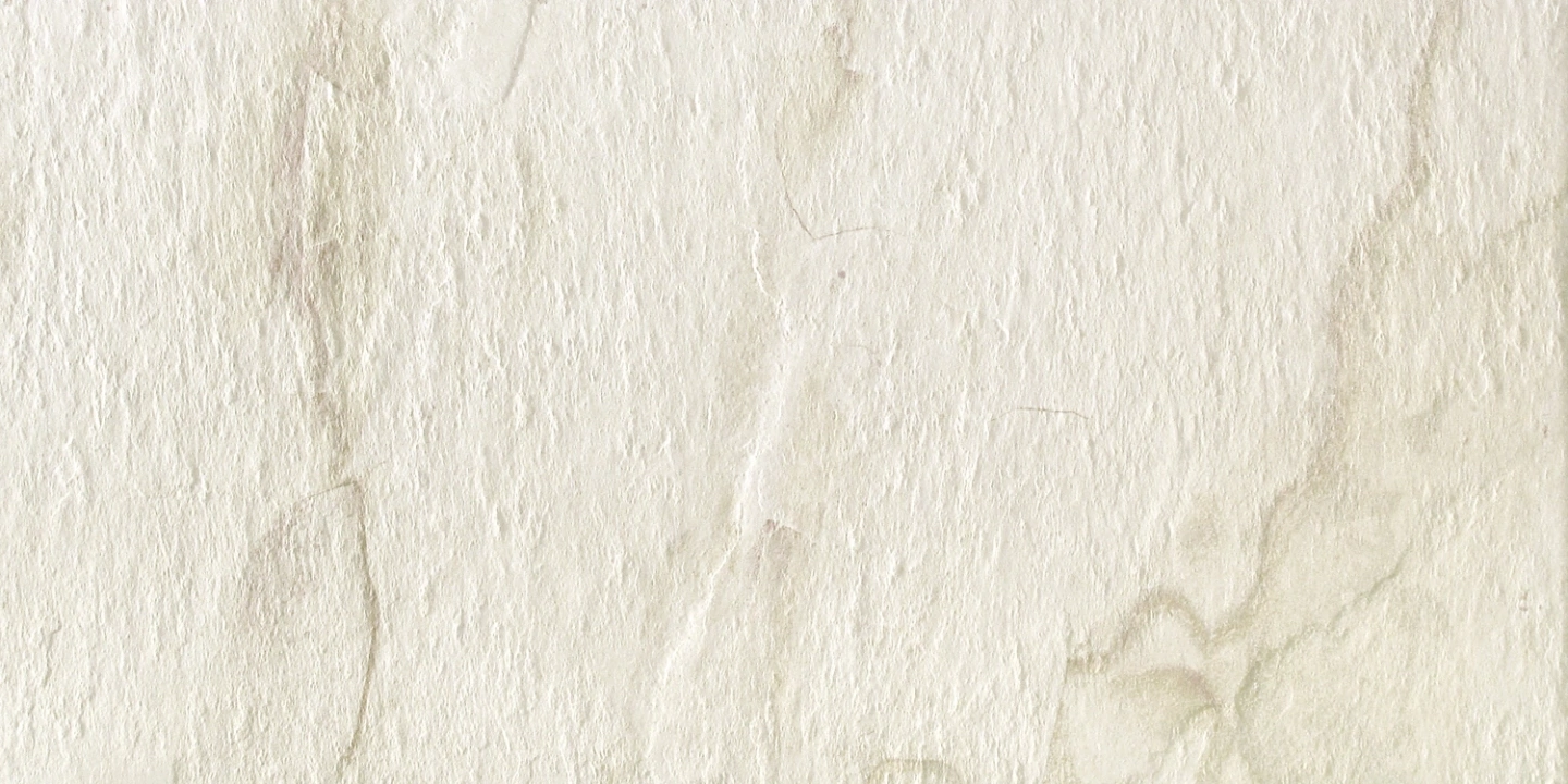 Delconca Nat Hnt 10 Bianco Nat 30x60 cm /G8NT10 