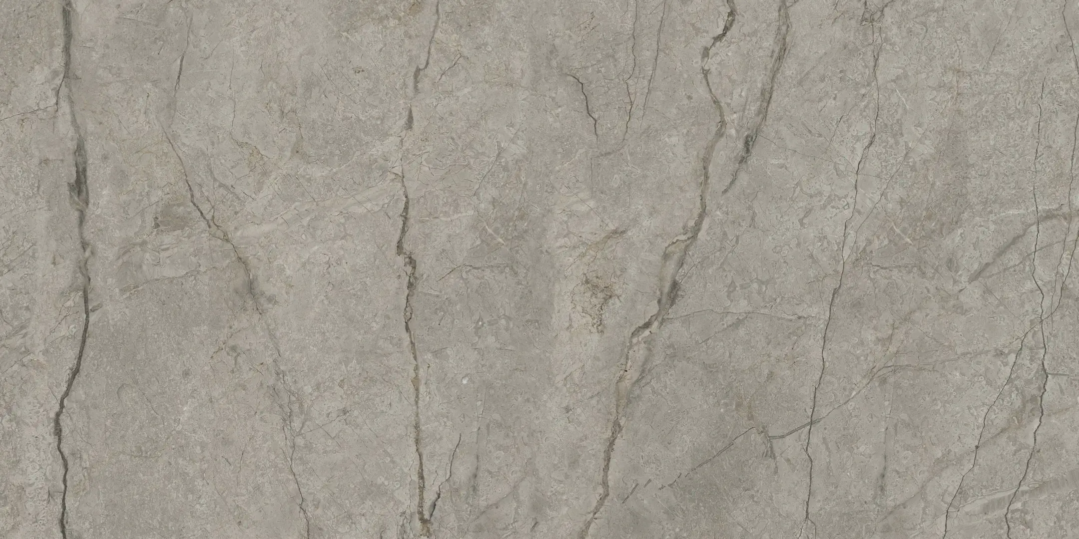 Delconca Boutique Silver Shine 60x120 cm Rekt./GCBO15S 