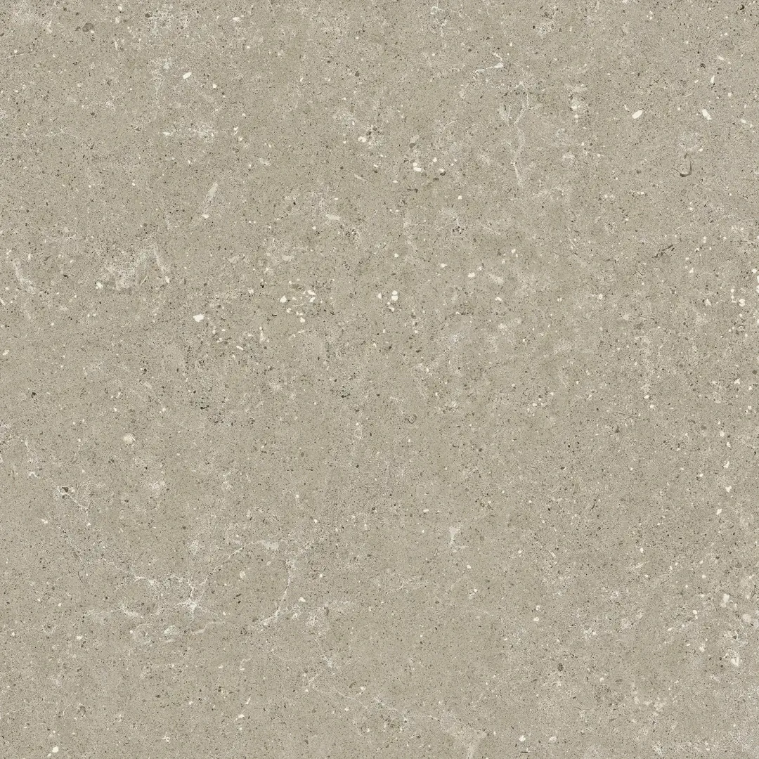 Delconca Wild Greige Nat 60x60 cm Rekt./G9WD11R 