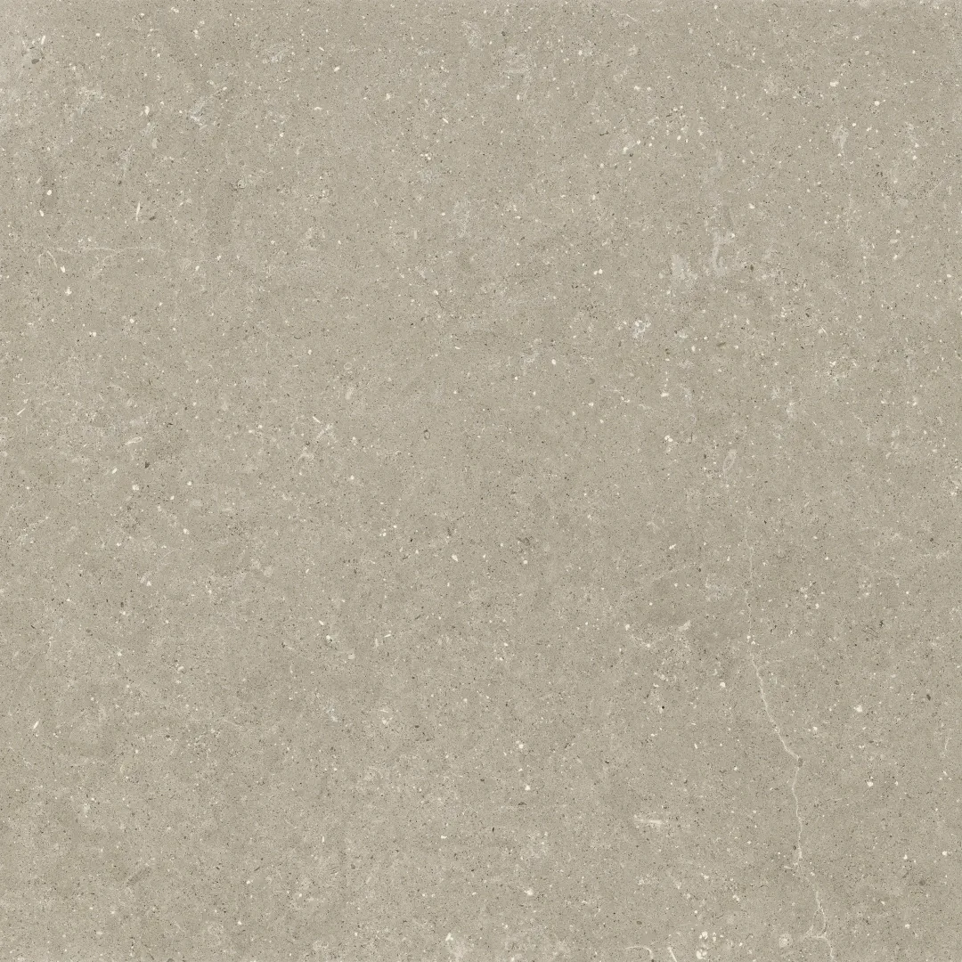 Delconca Wild Greige Nat 120x120 cm Rekt./GRWD11R 