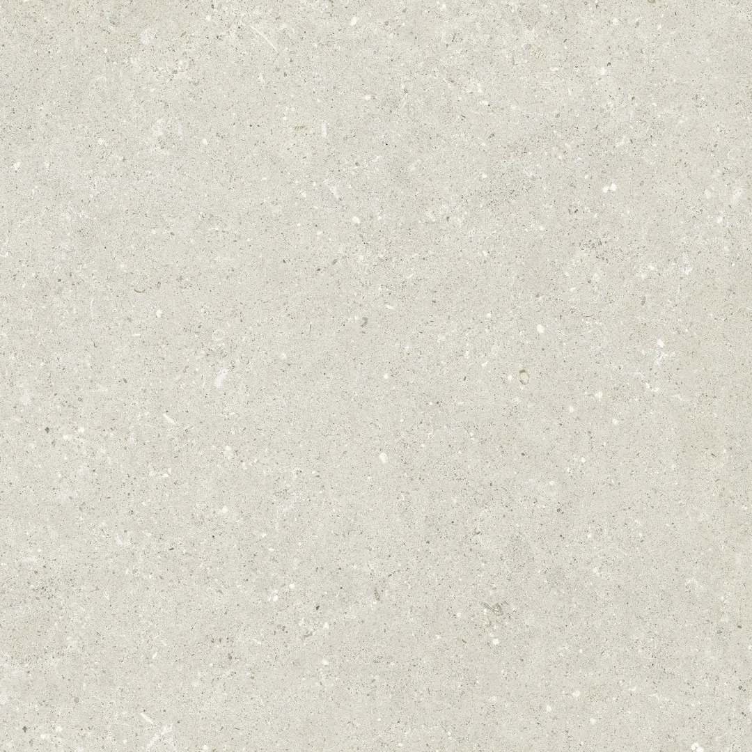 Delconca Wild White Nat 60x60 cm Rekt./G9WD10R 