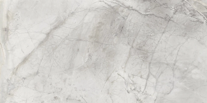 Delconca Boutique Invisible Grey Shine 30x60 cm Rekt./G8BO10S 