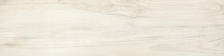 Delconca Foreste D'Italia Fi 10 Bianco Nat 30x120 cm Rekt./31FI10 