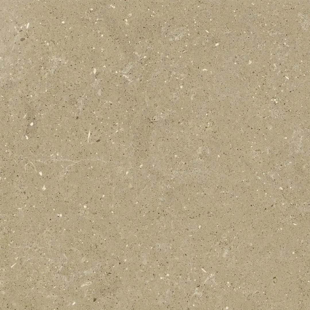 Delconca Wild Beige Nat 60x60 cm Rekt./G9WD01R 